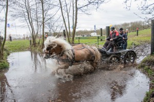 oefenmarathon 2016 MG 3515-3515 